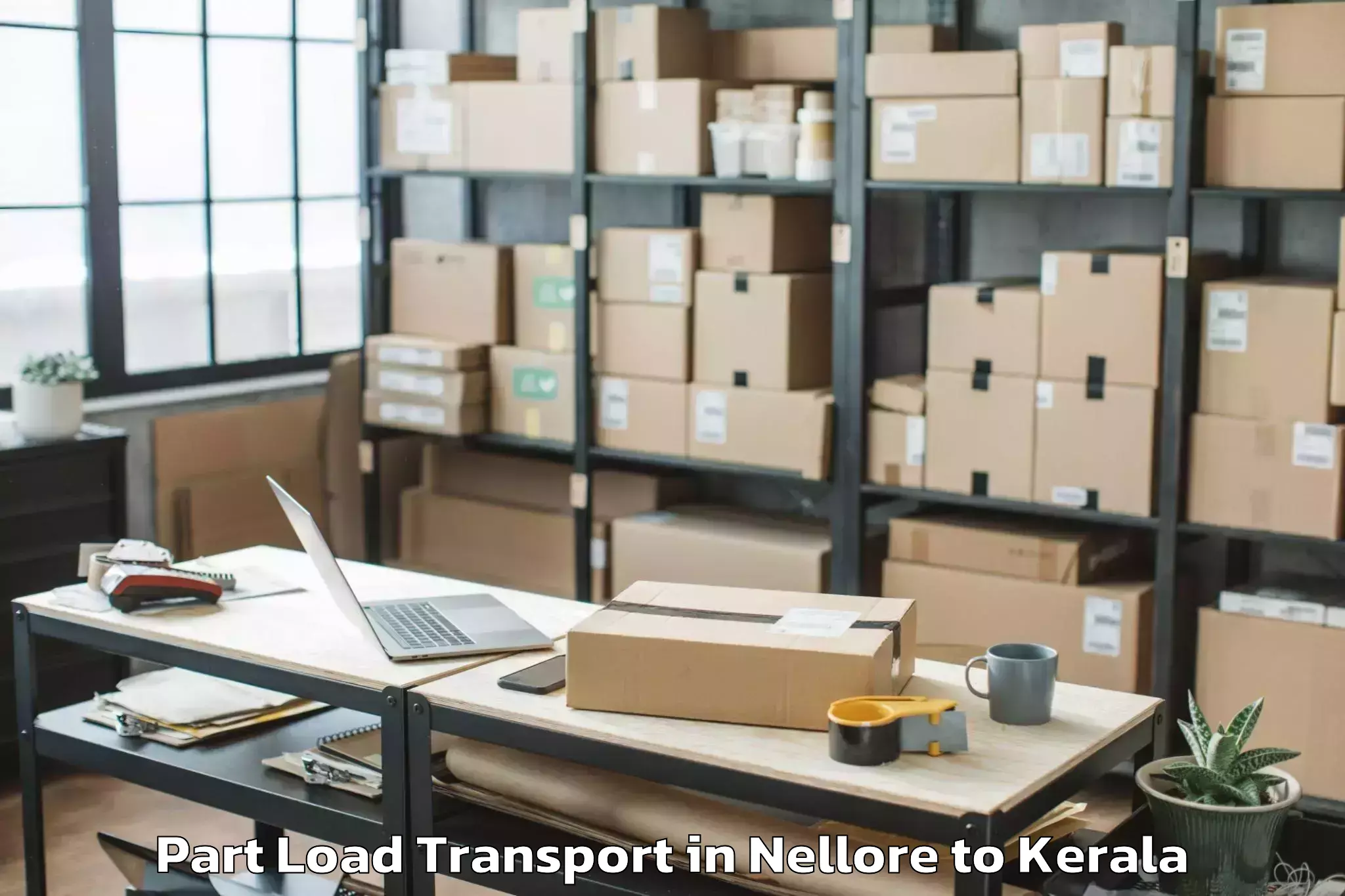 Affordable Nellore to Thrissur Part Load Transport